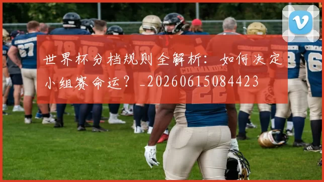 世界杯分档规则全解析：如何决定小组赛命运？_20260615084423