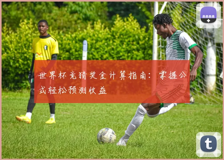 世界杯竞猜奖金计算指南：掌握公式轻松预测收益