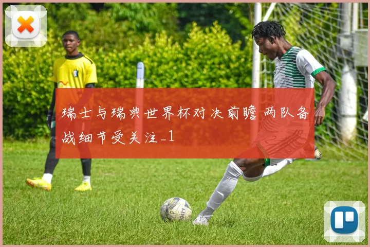 瑞士与瑞典世界杯对决前瞻 两队备战细节受关注_1