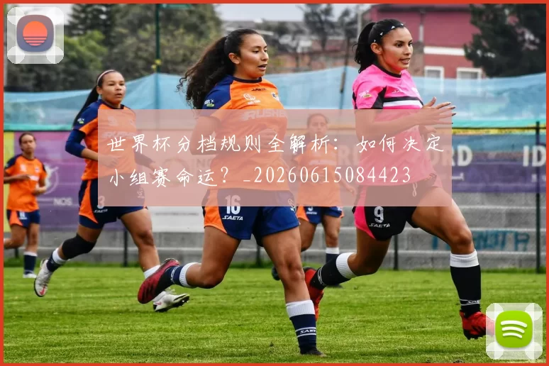 世界杯分档规则全解析:如何决定小组赛命运?_20260615084423