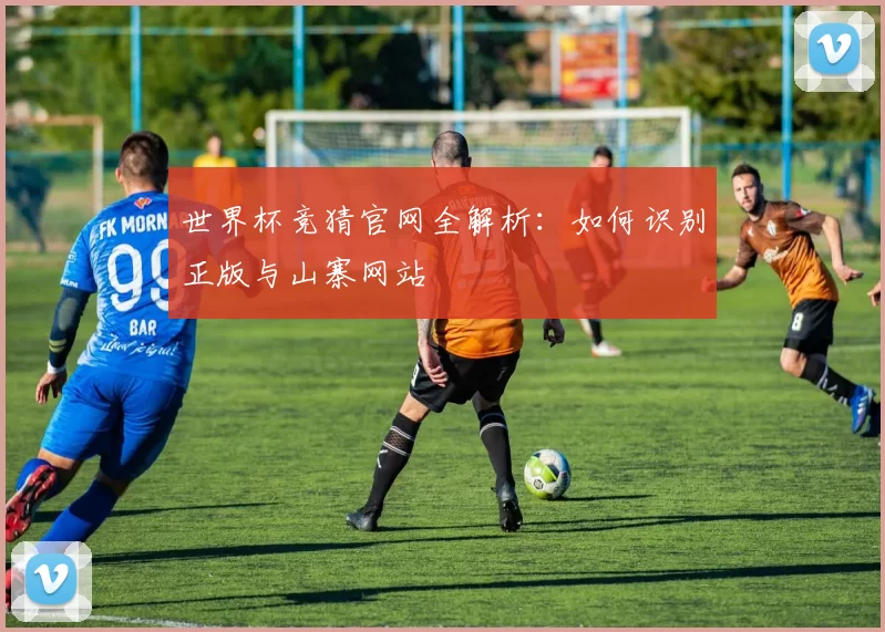 世界杯竞猜官网全解析：如何识别正版与山寨网站