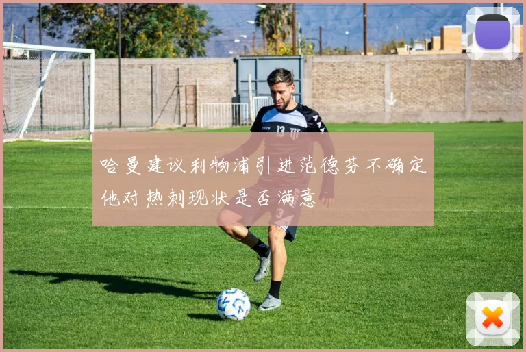 哈曼建议利物浦引进范德芬不确定他对热刺现状是否满意
