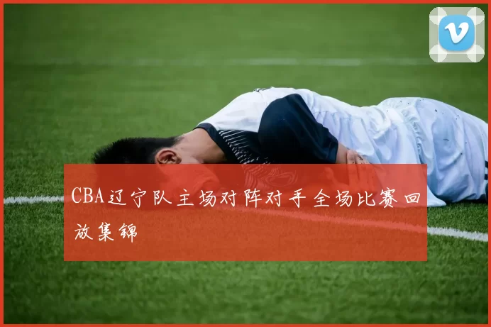 CBA辽宁队主场对阵对手全场比赛回放集锦