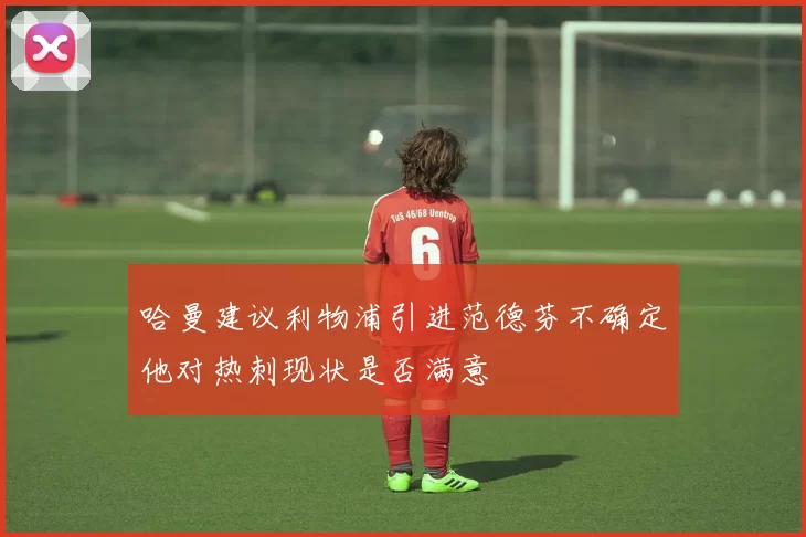 哈曼建议利物浦引进范德芬不确定他对热刺现状是否满意