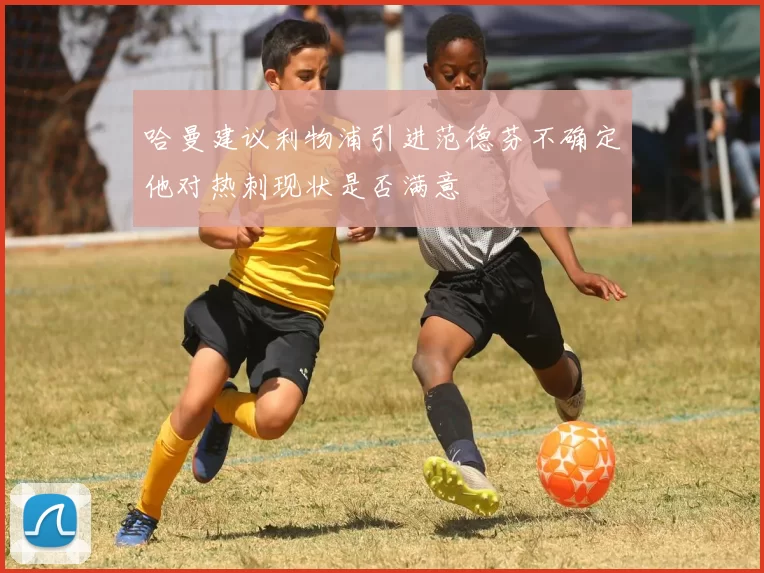哈曼建议利物浦引进范德芬不确定他对热刺现状是否满意