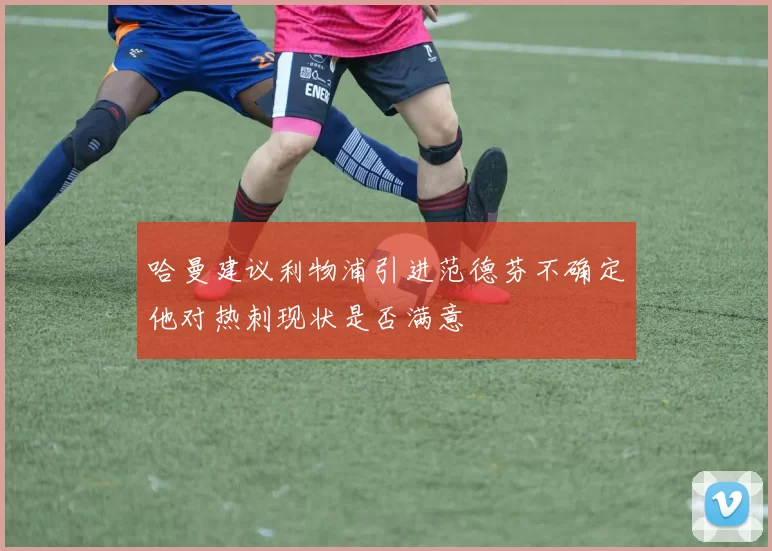 哈曼建议利物浦引进范德芬不确定他对热刺现状是否满意