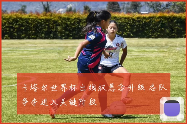 卡塔尔世界杯出线权悬念升级 各队争夺进入关键阶段