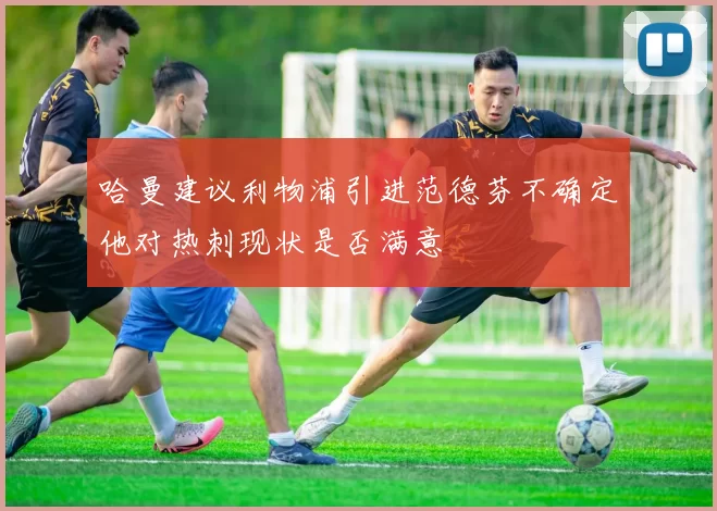 哈曼建议利物浦引进范德芬不确定他对热刺现状是否满意