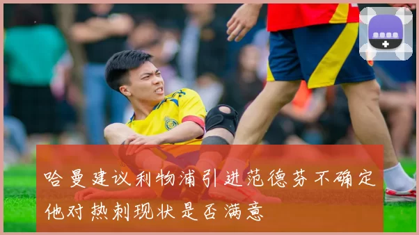 哈曼建议利物浦引进范德芬不确定他对热刺现状是否满意